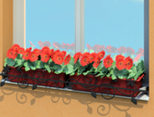 696f03d5-db38-4819-9aa9-6e2d5a0c987a-cs